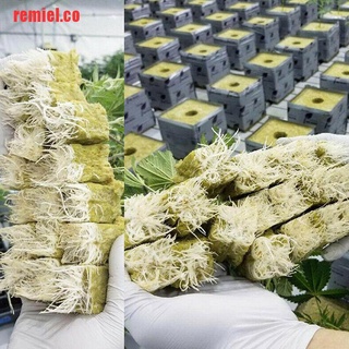 【remiel】10/50Pcs Soilless Cultivation Rockwool Sheet Block Seed Raisin (6)