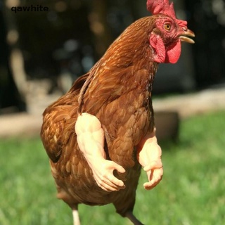 qawhite músculo pollo negro pollo brazos decoración pollo cuerpo puño blanco pollo brazo co