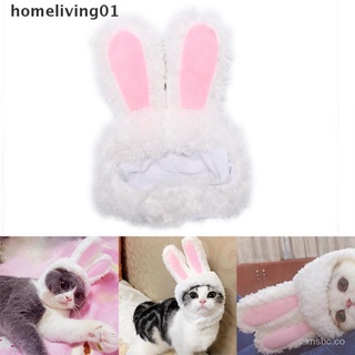 ❤(Hotsale) gato conejo orejas de conejo sombrero mascota gato cosplay disfraces para gatos pequeños perros fiesta {bigsale} 3xcS