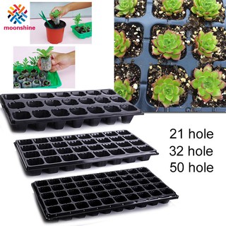 21 32 50 agujeros semillas de flores vegetales Growinray jardín planta vivero placa de plántulas