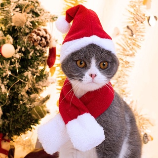 Gorro De tobillo De navidad cálido gorro bufanda roja Gato perro Cachorro mascota disfraz Cosplay ropa Para mascotas (8)