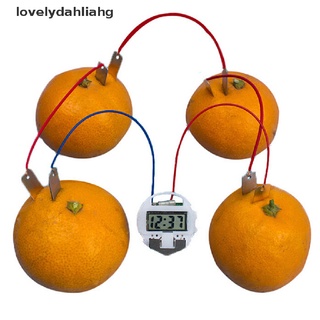 [i] 1 juego de niños bio energía ciencia kit de suministro de frutas electricidad experimentos juguete [caliente]