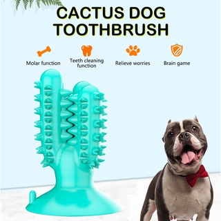 Perros gato sano fresco cachorro cepillo de limpieza de dientes Cactus raza grande perro Molar cepillo de dientes palo suministros para mascotas