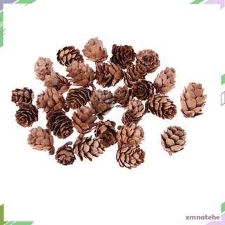 30 piezas de conos de pino seco natural, hogar de boda, manualidades, rbol de (1)