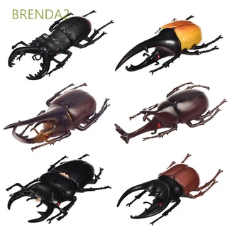 BRENDA2 Teaching Aids Special Lifelike Model Science Toy Beetle Toys Simulation Beetle Beetle Figures Insect Toy Fake Beetle Animal Collection Trick Props Kids Insect Model