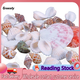 Gey_ 100g mezcla de mar conchas de playa artesanía conchas de mar decoración de acuario foto Props