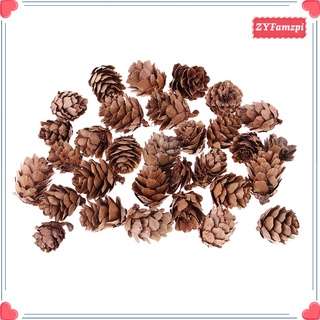 30 conos de pino natural seco piñas rústicas de pino marrón para (8)