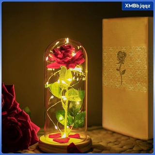 romántica eterna rosa luz conservada san valentín\\'s rosas frescas luces regalo