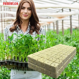 【remiel】10/50Pcs Soilless Cultivation Rockwool Sheet Block Seed Raisin