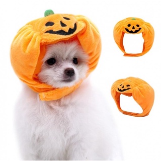 lindo mascota halloween vestir sombrero de calabaza barato accesorios de mascotas gorras para perros sombreros mascotas divertido disfraz cosplay