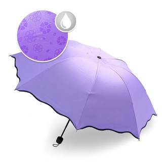 Sombrilla Mágica Cambia Color Agua Protección Filtro UV RF 034 (4)