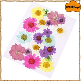 Dried And Pressed Natural Leaves And Flowers, Colorful Flower Decorations (3)