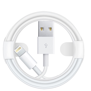 Apple 1M 2M IPhone Cable datos Lightning Cable USB garantía 1 año de garantía
