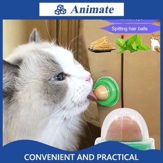 bocadillos fijos de nutrición saludable para mascotas/gato fijo/nutrición/dulce/gato/bola saludable/bola de gel de nutrición catnip/bola energética animate1