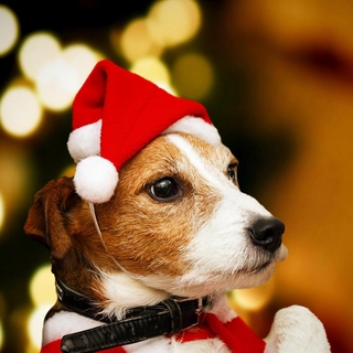 sombrero de peluche pequeño de navidad para mascotas perro gato sombrero feliz navidad decoraciones para el hogar gorra