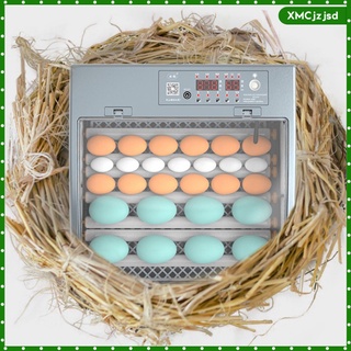 incubadora digital automática de huevos para pájaros/pollo/control de temperatura