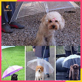 [se]perro Caminar impermeable cubierta transparente incorporada correa de lluvia de agua de nieve paraguas para mascotas (1)