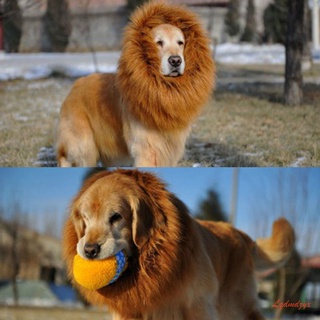 Peluca de melena de león con orejas para perro grande, ropa de Halloween, disfraz de mascota (6)