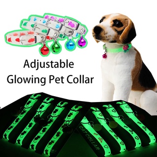 Mascota Collar de silicona Fluorescente Cachorro Gatito Accesorios Noche al aire libre (3)