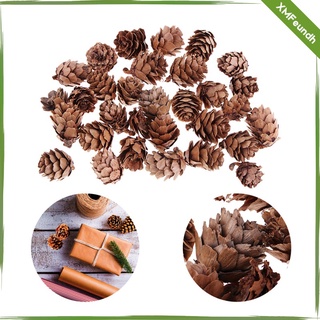 90 Pieces Natural Dried Pine Cones In Bulk Dried Flowers for (9)