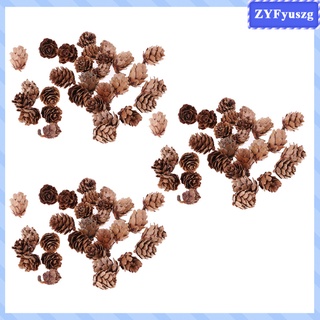 90 Pieces Natural Dried Pine Cones In Bulk Dried Flowers for Christmas Decors