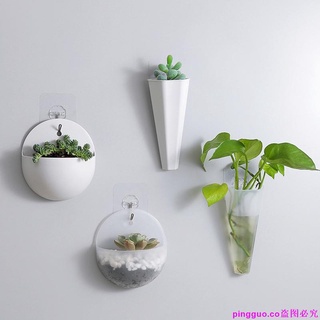 Mini macetas de plástico de estilo nórdico/suculentas hidropónicas/soporte de plantas suculentas de pared con gancho (4)
