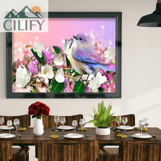 Cilify 5D DIY broca redonda completa diamante pintura arte pájaro (8)