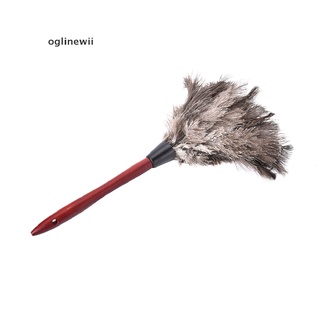 oglinewii - cepillo de plumas de avestruz (55 cm, mango de madera, antiestático, piel gris natural, hogar co)