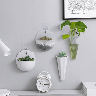 Chf - jarrón montado en la pared de Color sólido, tira larga/semicírculo transparente moderno para plantas