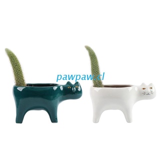 pata de dibujos animados gato maceta suculenta maceta con drenaje de cerámica planta maceta jardín cactus plantas maceta jarrón