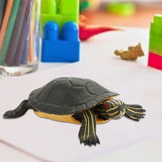 hfz animal simulación tortuga escritorio adorno niño presente modelo educativo muñeca