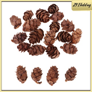 50 piezas mini conos de pino seco rústico natural a granel para fiesta de navidad