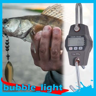 [alende Tienda Oficial] 300kg/600lbs/600lbs/600lbs/Mini grulla Escala De Pesca con Gancho De Pesca para exteriores/Grande/equipaje Digital/Portátil