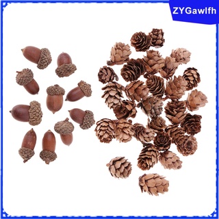 40 Pieces Natural Pine Cones Acorns Dried Table Ornament For Home Decoration (2)