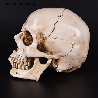 fashionhousehg réplica de calavera humana modelo de resina anatómica médica tamaño real esqueleto moda venta caliente