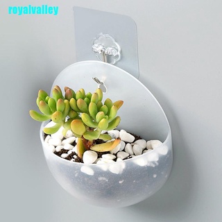 royalvalley - jarrón acrílico para colgar en la pared, diseño de plantas (1)