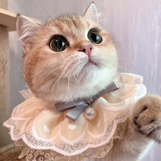 pet gato babero moda ajustable gatos collar bufanda estilo lindo cachorro collares de encaje flor con campanas