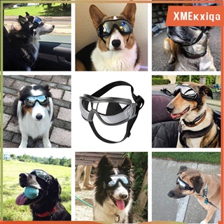 Gafas para perros Proteccin UV para ojos Gafas de sol para mascotas (2)