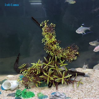leblama acuario adorno de alta simulación paisaje incoloro artificial agua hierba tanque de peces adornos para decoración del hogar