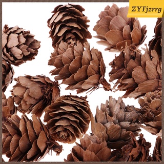 30 pequeños conos de pino seco naturales en flores secas a granel para decoración navideña