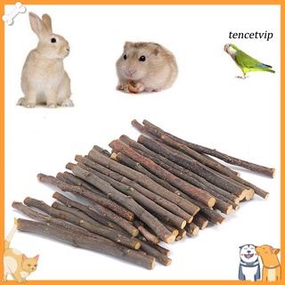 ptimistica-20/40/60pcs mascota conejo hámster conejo masticar palos de manzana árbol rama de madera juguetes (1)