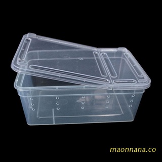 maonn caja de plástico transparente para insectos, reptiles, transporte, cría, alimentos vivos, caja de alimentación