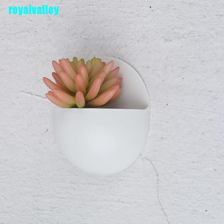 royalvalley - jarrón acrílico para colgar en la pared, diseño de plantas (6)