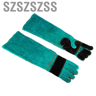 Szszszssss guantes protectores De seguridad Anti araña Para entrenamiento De mascotas todo incluido en cuero Verde