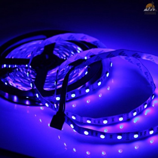 [fiki]5M Dc 12V LED 5050 tiras de luz 300LEDs tira de luz Flexible LED luz de noche luces de navidad LED cuerda luces LED cinta de luz para habitaciones fiesta Bar decoración azul