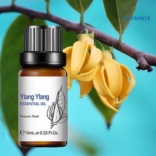 [winnie] aceite esencial de 10 ml ylang refrescante aire masaje natural extracto de plantas fragancia aceites (1)