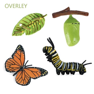 overley simulación educativa animales biología ciclo de vida figura ciclo de crecimiento modelo de mariposa ciclo de crecimiento araña insectos animales pollo para niños modelos de plástico figuras de acción (1)
