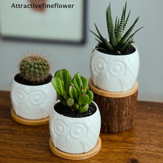 [aff] maceta suculenta mini maceta de cerámica suculenta maceta cactus con drenaje: atractivefineflower (5)