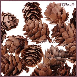 30 x pequeños conos de pino seco natural en flores secas a granel para (6)