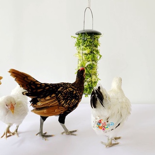 yupdia.co Creative Pigeon Basket Funny Metal Pigeon Chick Parrot Vegetable Feeder for Feeding
